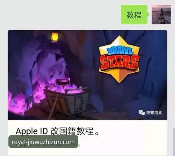 九五至尊iOS版安装与使用全攻略：从下载到畅玩操作教程