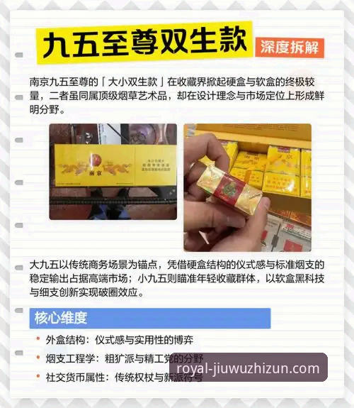 九五至尊手机版安全性深度解析